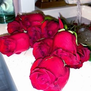 Meet your Posher, Jachelle